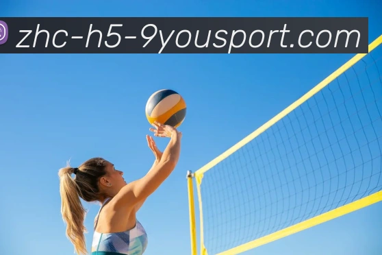 九游官网发展历程